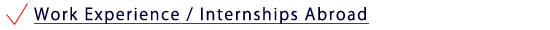 go to info on work experience and internships
